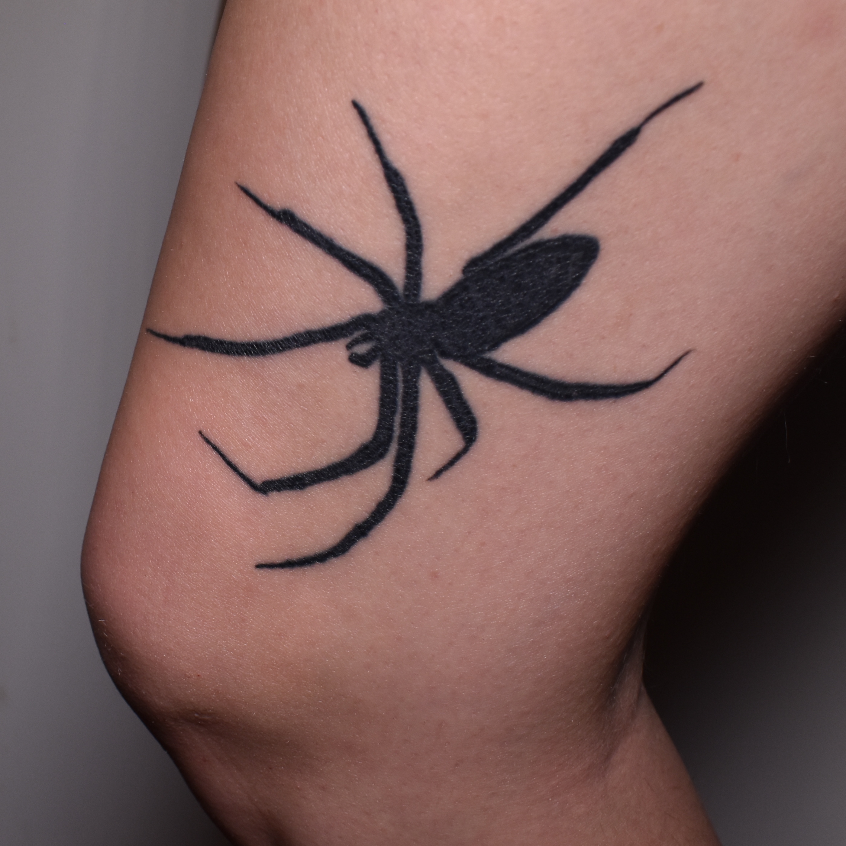 Spider