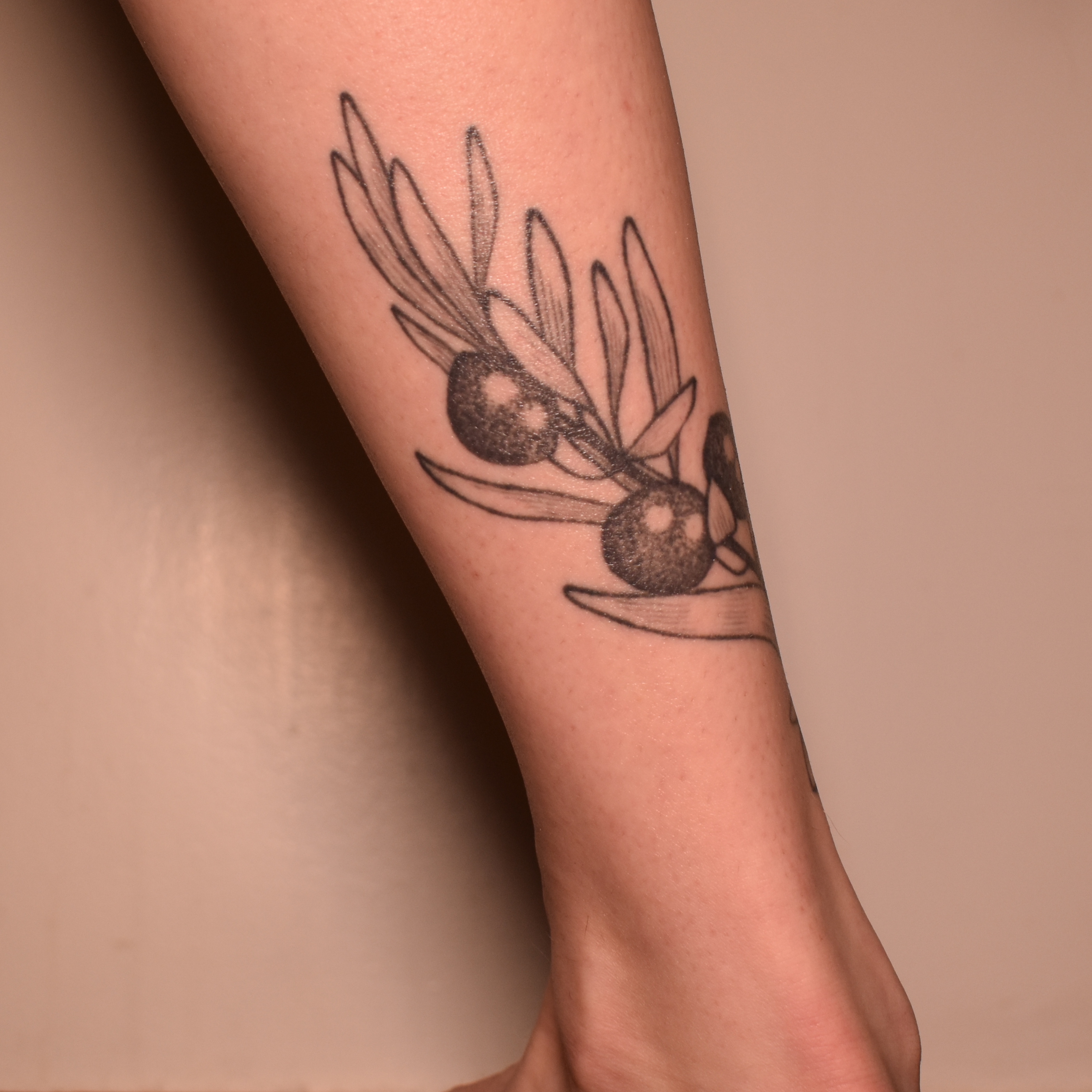 Olive Branch